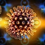 Second HIV infected person cured