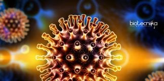 Second HIV infected person cured