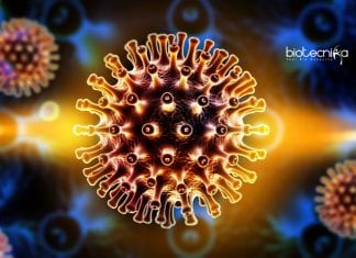 Second HIV Infected Person Cured Using Stem Cell Transplants Second HIV infected person cured