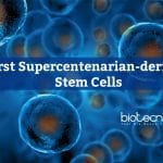 Stem Cells from Supercentenarian Cells