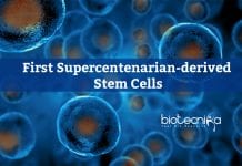 Stem Cells from Supercentenarian Cells