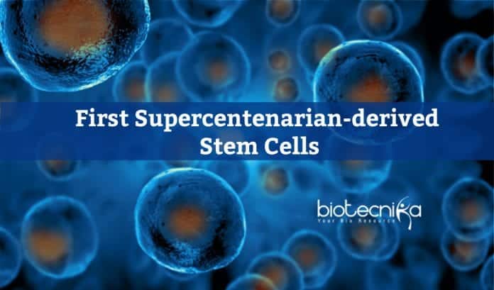 Stem Cells from Supercentenarian Cells