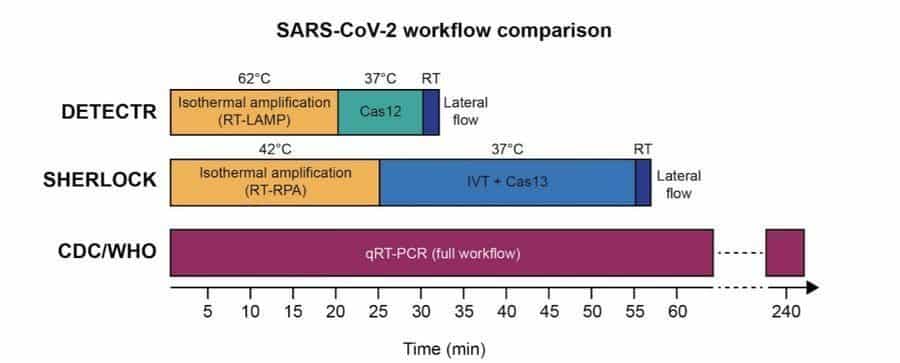 Detecting Coronavirus with CRISPR Diagnostics
