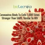 coronavirus is similar to HIV in infection pathway