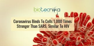coronavirus is similar to HIV in infection pathway