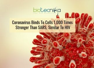 HIV-Like Mutation In Coronavirus Explains It’s Highly Infectious Nature coronavirus is similar to HIV in infection pathway
