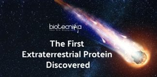 First Extraterrestrial Protein Discovered