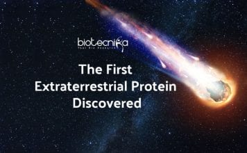 First Extraterrestrial Protein Discovered
