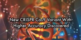 new CRISPR cas9 with improved accuracy