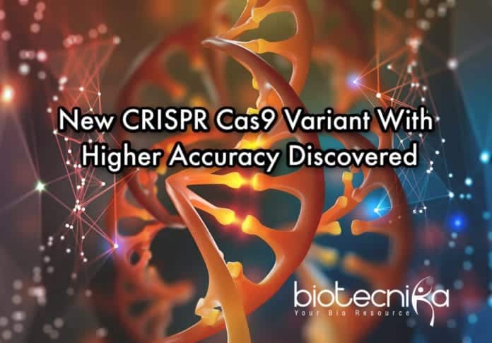 new CRISPR cas9 with improved accuracy