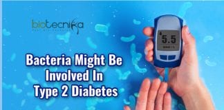 bacteria may cause diabetes 2