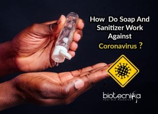Why Experts Recommend Soap & Sanitizer To Prevent Coronavirus ? how soap and sanitizer kill coronavirus