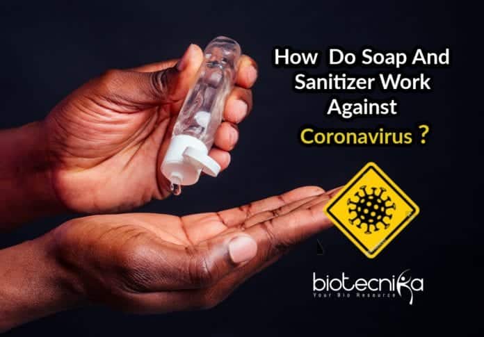 how soap and sanitizer kill coronavirus