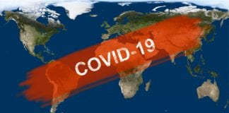 Detecting Coronavirus with CRISPR Diagnostics