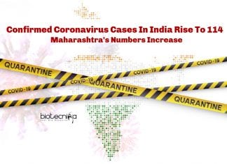 Confirmed Coronavirus Cases In India Rise To 114 – Maharashtra’s Numbers Increase