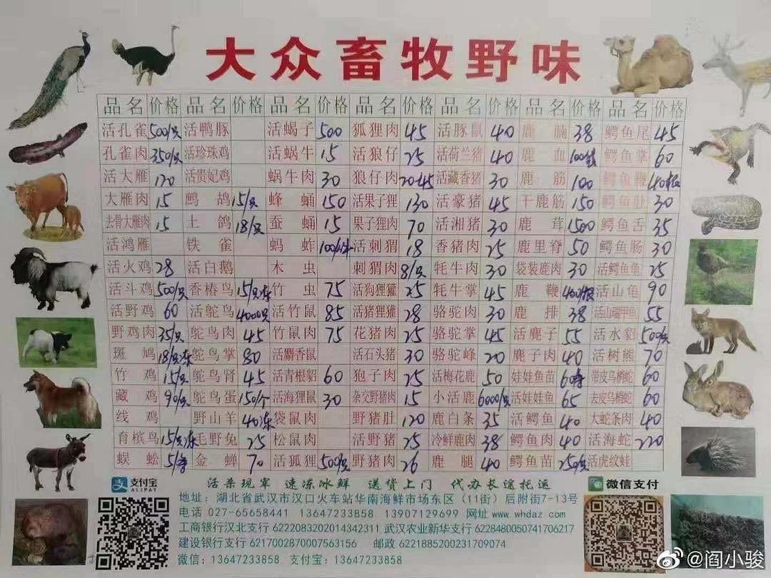 meat consumption and coronavirus