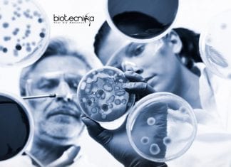 AIIMS Bhubaneswar Project Assistant/JRF Job Opening AIIMS Bhubaneswar Project Assistant