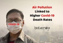 Study Finds Air Pollution Linked to Higher COVID-19 Death Rates Air Pollution and Covid19 Deaths