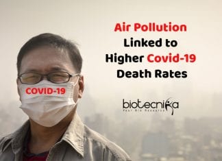 Study Finds Air Pollution Linked to Higher COVID-19 Death Rates Air Pollution and Covid19 Deaths