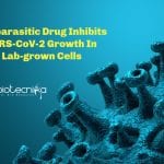 Antiparasitic drug for COVID-19