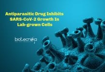 Antiparasitic Drug Inhibits SARS-CoV-2 Growth In Lab-grown Cells Antiparasitic drug for COVID-19