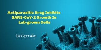 Antiparasitic drug for COVID-19