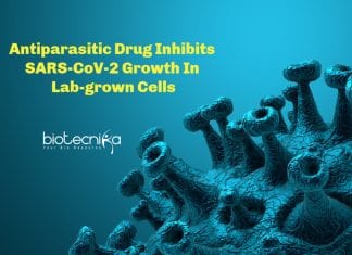 Antiparasitic Drug Inhibits SARS-CoV-2 Growth In Lab-grown Cells Antiparasitic drug for COVID-19