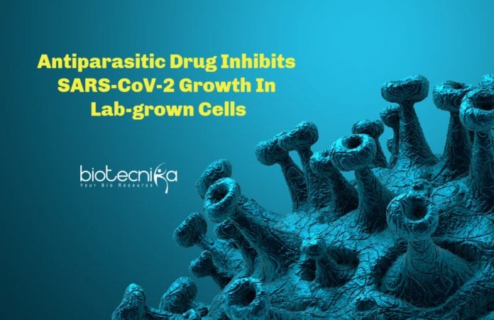 Antiparasitic drug for COVID-19