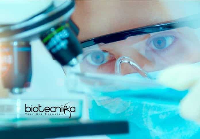 Biological Sciences Novo Nordisk
