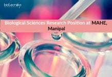Biological Sciences Research Position at MAHE, Manipal Biological Sciences Research Position