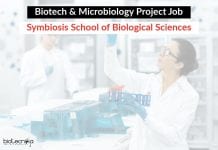 Biotech & Microbiology Project Job at Symbiosis School of Biological Sciences Biotech & Microbio Project