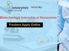 Biotechnology Internship at Novozymes