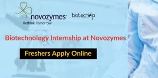 Biotechnology Internship at Novozymes