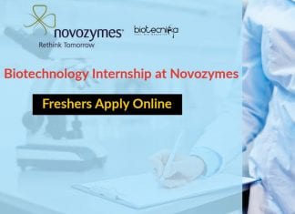 Biotechnology Internship at Novozymes