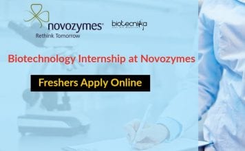 Biotechnology Internship at Novozymes