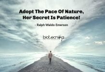 Biotecnika Times – Newsletter 02.04.2020 – Govt Kalpana Chawla COVID-19 Job, Coronavirus Can