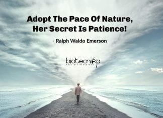 Biotecnika Times – Newsletter 02.04.2020 – Govt Kalpana Chawla COVID-19 Job, Coronavirus Can