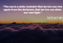 Biotecnika Times – Newsletter 16.04.2020 – 🦇 Bat Coronavirus -BtCoV” Detected