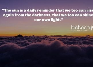 Biotecnika Times – Newsletter 16.04.2020 – 🦇 Bat Coronavirus -BtCoV” Detected