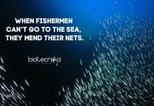 Biotecnika Times – Newsletter 07.04.2020 – COVID-19 Vaccines Enter Human Trials, SERB