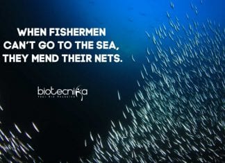 Biotecnika Times – Newsletter 07.04.2020 – COVID-19 Vaccines Enter Human Trials, SERB