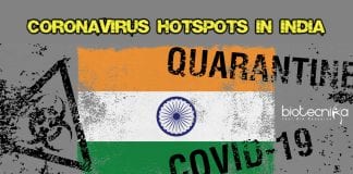 Coronavirus Hotspots in India