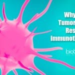 How Tumors hide from immunotherapy