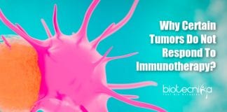 How Tumors hide from immunotherapy