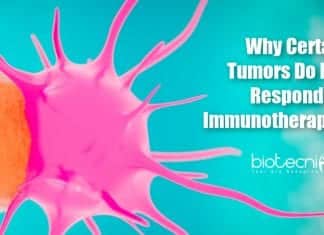 Why Certain Tumors Do Not Respond To Immunotherapy? How Tumors hide from immunotherapy