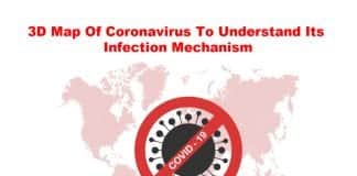 3D map of coronavirus
