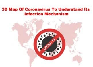 3D Map Of Coronavirus To Understand The Infection Mechanism 3D map of coronavirus