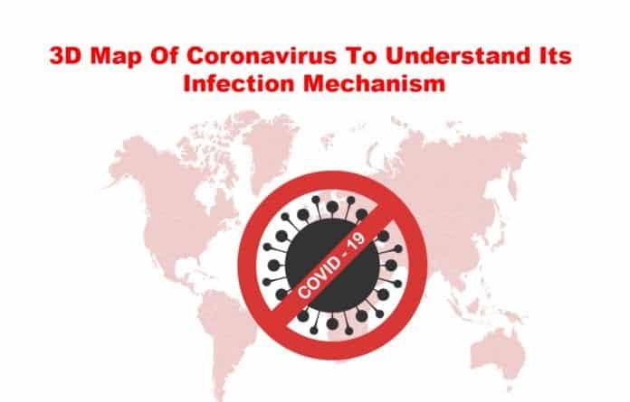 3D map of coronavirus