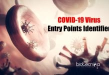 Two Specific Nose Cell Type Identified As COVID-19 Virus Entry Points Coronavirus Entry Points Identified