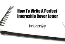 How To Write A Perfect Internship Cover